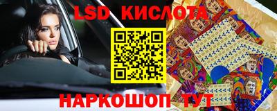 крисы Кунгур
