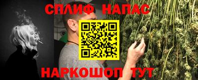крисы Кунгур