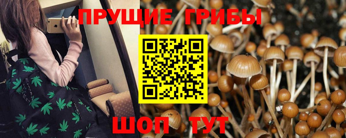 Псилоцибиновые грибы GOLDEN TEACHER  наркота  Еманжелинск  Вход с VPN 